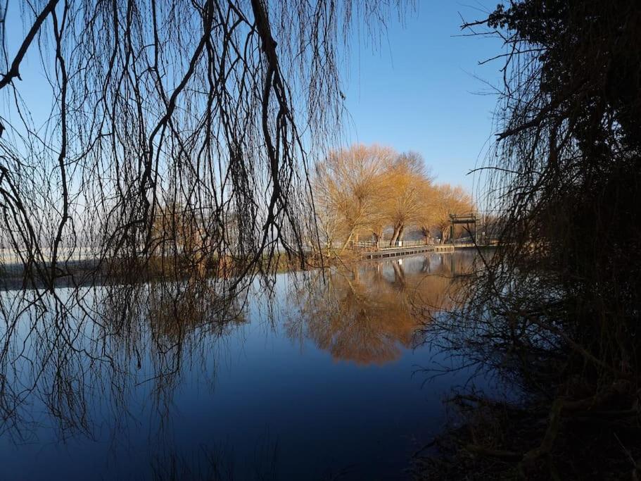 West Farm Cottage Ґодманчестер Екстер'єр фото